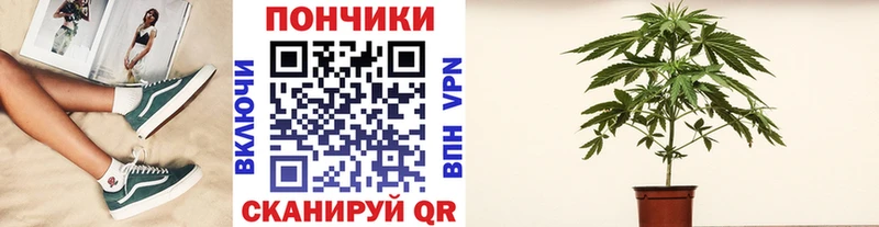 Бошки Шишки семена цены наркотик Дюртюли